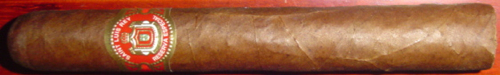 Saint Luis Rey