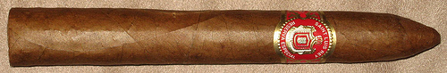 Saint Luis Rey Belicoso